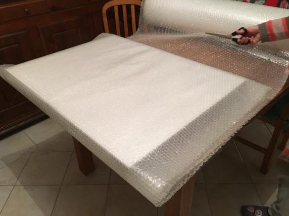 15253653_933026816842324_5425616049235431431_n